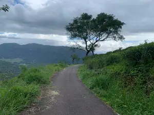 Lands for sale in Pundaluoya