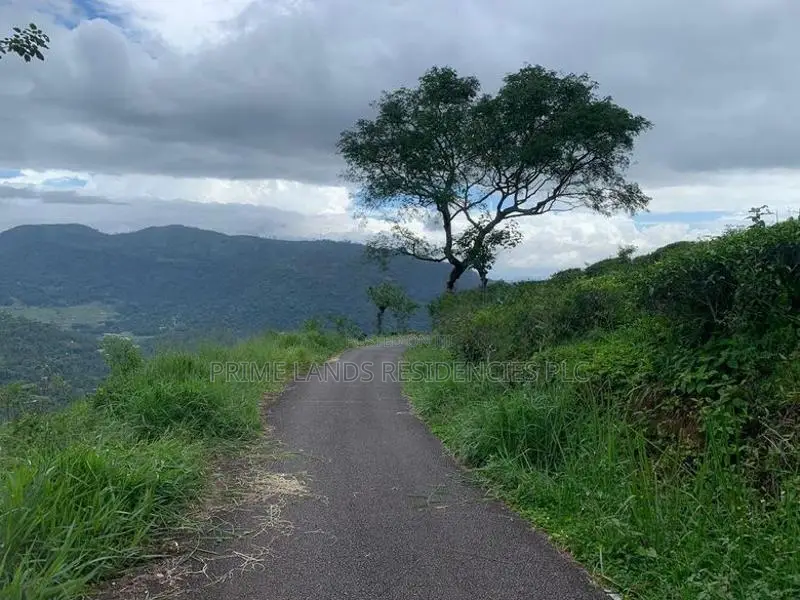 Lands for sale in Pundaluoya