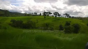 Lands for sale in Ambewela