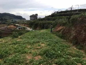 Lands for sale in Ambewela