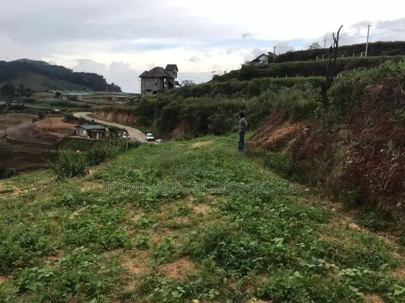 Lands for sale in Ambewela