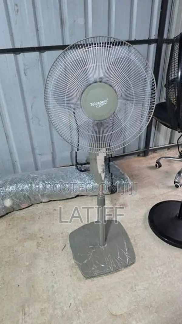 Telesonic Stand Fan