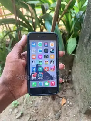 Apple iPhone 7 (Used)