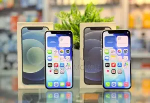Apple iPhone 12 mini 128GB (Used)