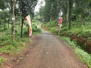 Lands for sale in Nelumdeniya
