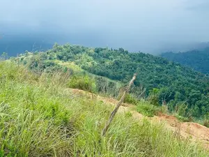 Lands for sale in Nillamba