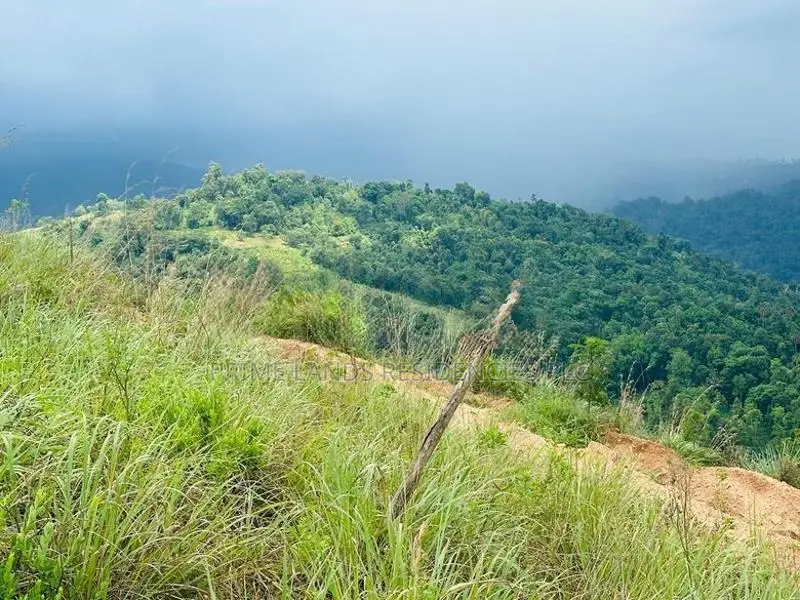 Lands for sale in Nillamba