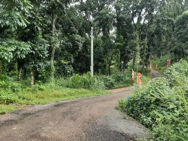 Lands for sale in Nelumdeniya