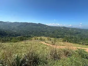 Lands for sale in Nillamba