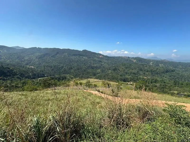 Lands for sale in Nillamba