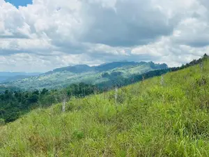 Lands for sale in Nillamba