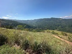 Lands for sale in Nillamba