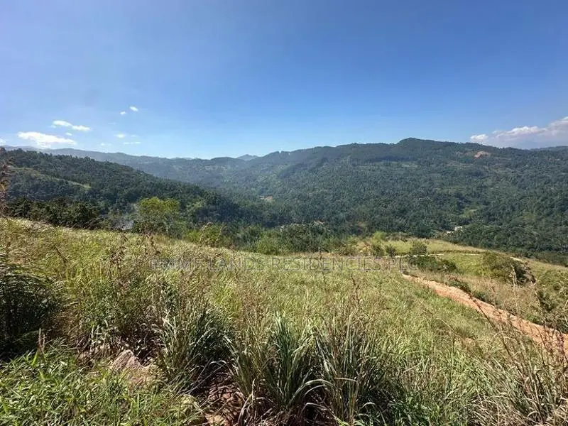 Lands for sale in Nillamba