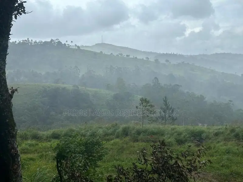 Lands for sale in Delthota