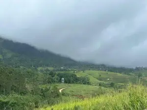 Lands for sale in Delthota
