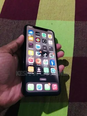 Apple iPhone X (Used)