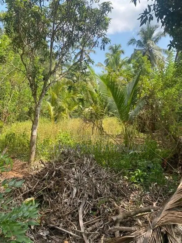 Land For Sale Hakmana