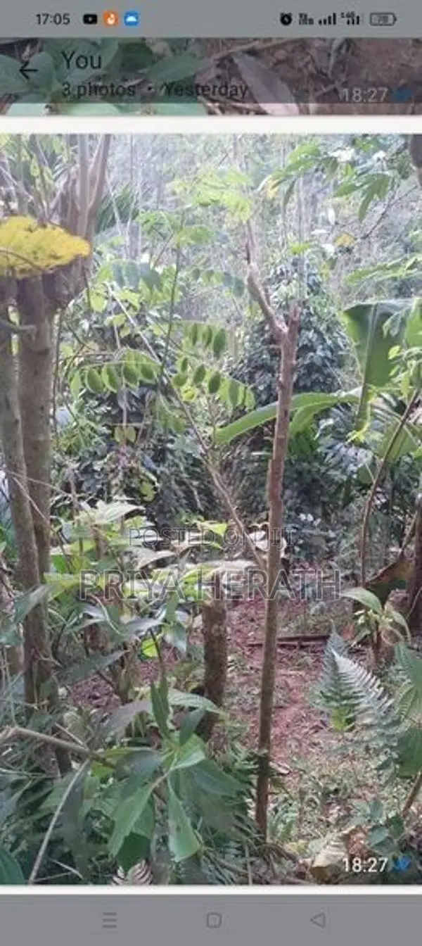 Land in A Scenic Serene Environment Gonagama