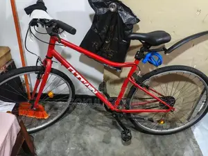 Riverside 100 Bicycle