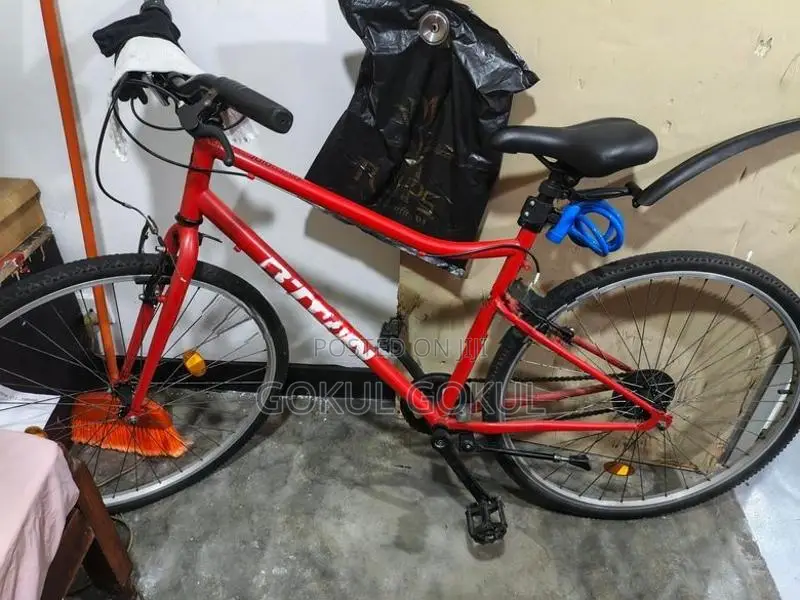 Riverside 100 Bicycle