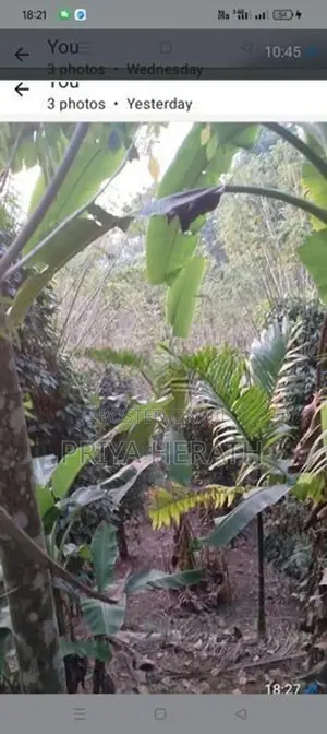 Land in A Scenic Serene Environment Gonagama
