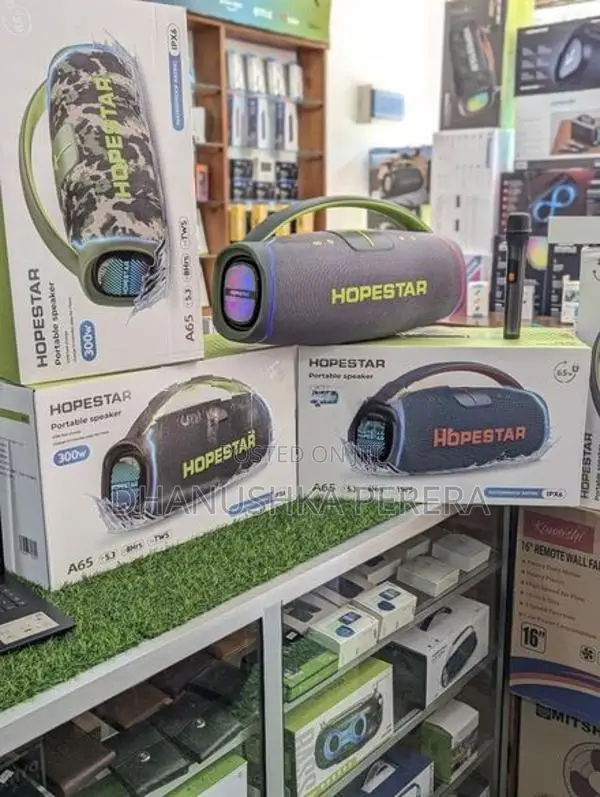 Hopestar A65 Outdoor Party Boombox Speakers (300W)