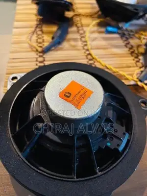 BMW F30 Harmon Karden Audio Speakers
