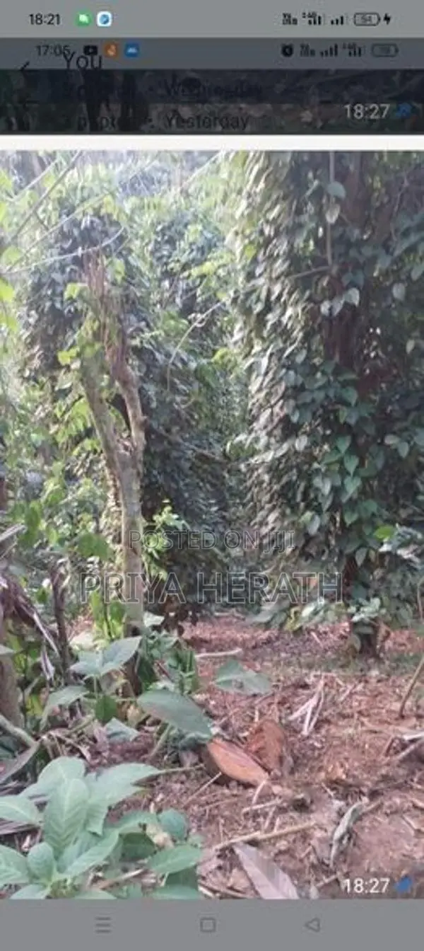 Land in A Scenic Serene Environment Gonagama