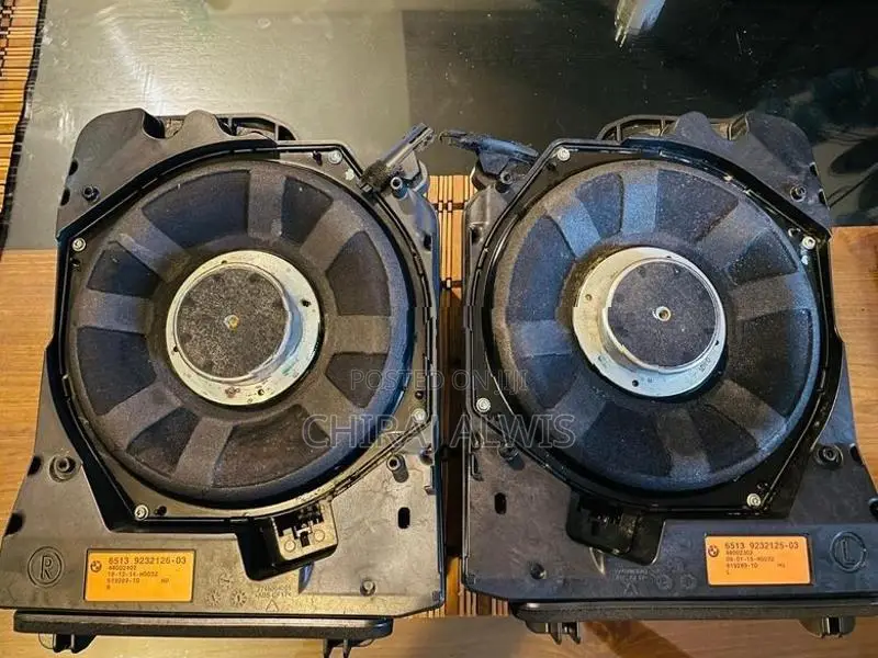 BMW F30 Harmon Karden Audio Speakers