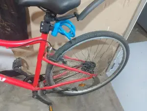 Riverside 100 Bicycle