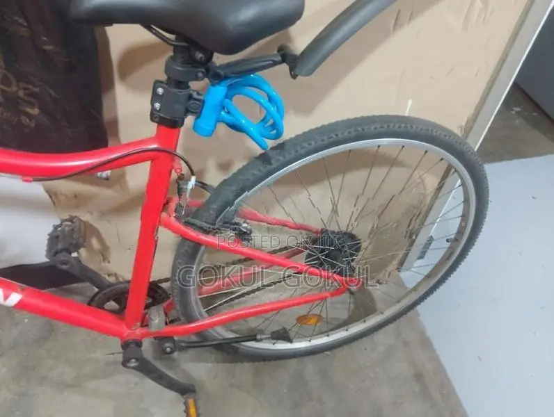 Riverside 100 Bicycle