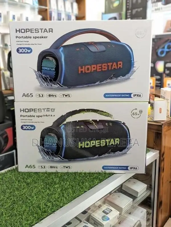 Hopestar A65 Outdoor Party Boombox Speakers (300W)