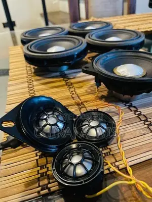 BMW F30 Harmon Karden Audio Speakers
