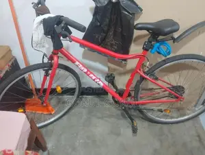Riverside 100 Bicycle
