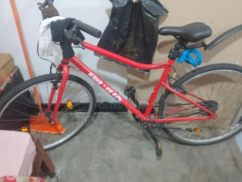 Riverside 100 Bicycle