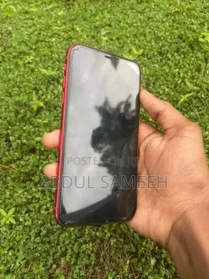 Apple iPhone 11 (Used)