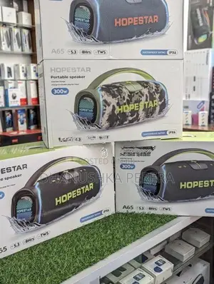 Hopestar A65 Outdoor Party Boombox Speakers (300W)