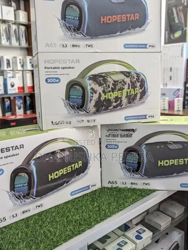 Hopestar A65 Outdoor Party Boombox Speakers (300W)