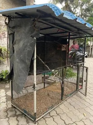 Birds Cage