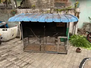 Birds Cage