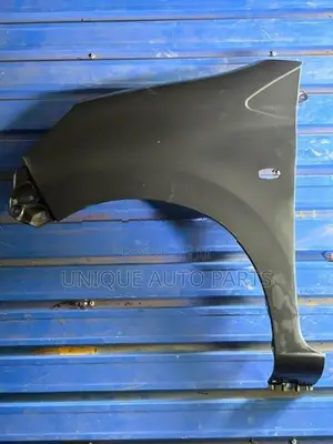 Perodua Axia Fender