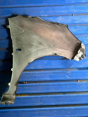 Perodua Axia Fender