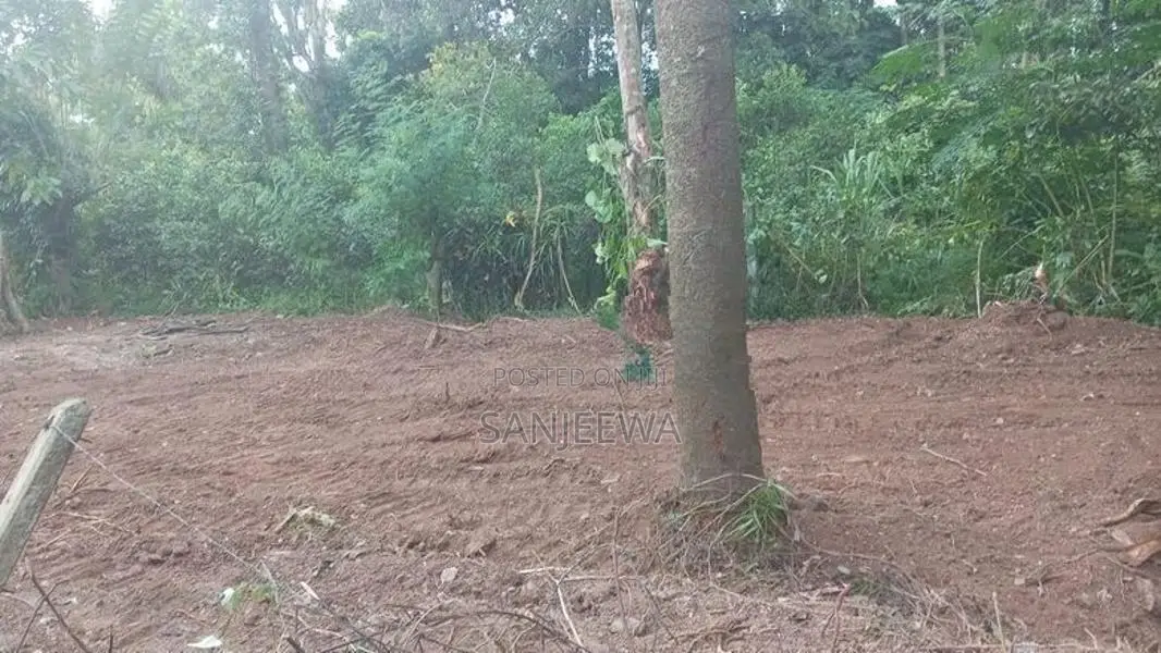 Land for Sale in Habaraduwa