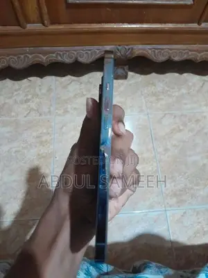 Apple iPhone 12 Pro Max (Used)