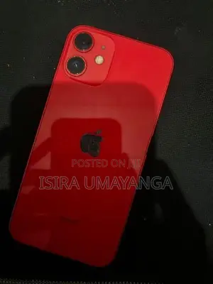 Apple iPhone 12 mini (Used)