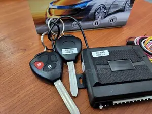 Keyless Entry Remote Key