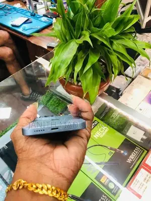 Apple iPhone 14 (Used)