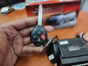 Keyless Entry Remote Key