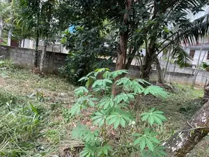 Residential Land Sale Watapuluwa