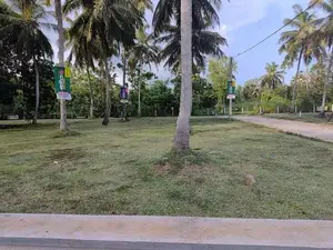 අනුරාධපුර , සාලියමාවතෙන් සින්නක්කර බිම්කොටස් විකිණීමට